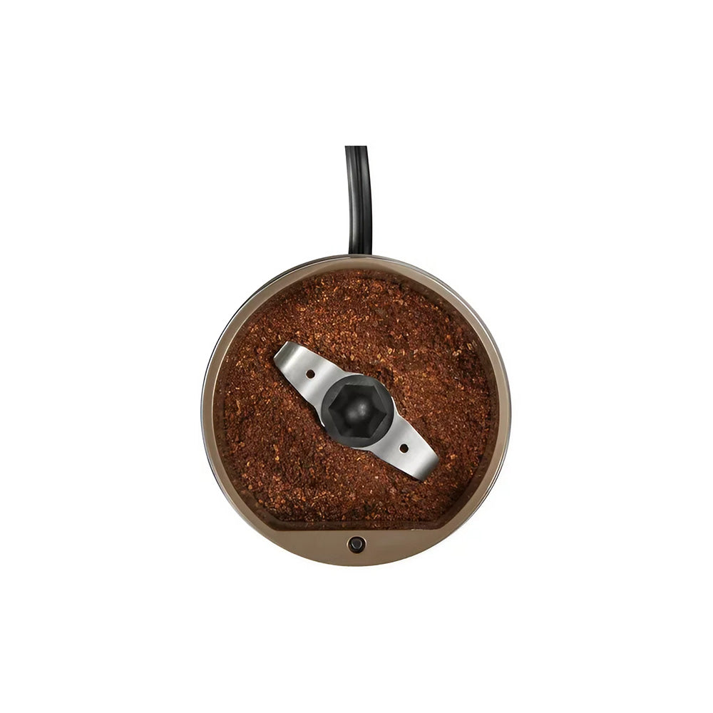 Molino de Cafe y Especias - 80300PS - Proctor Silex